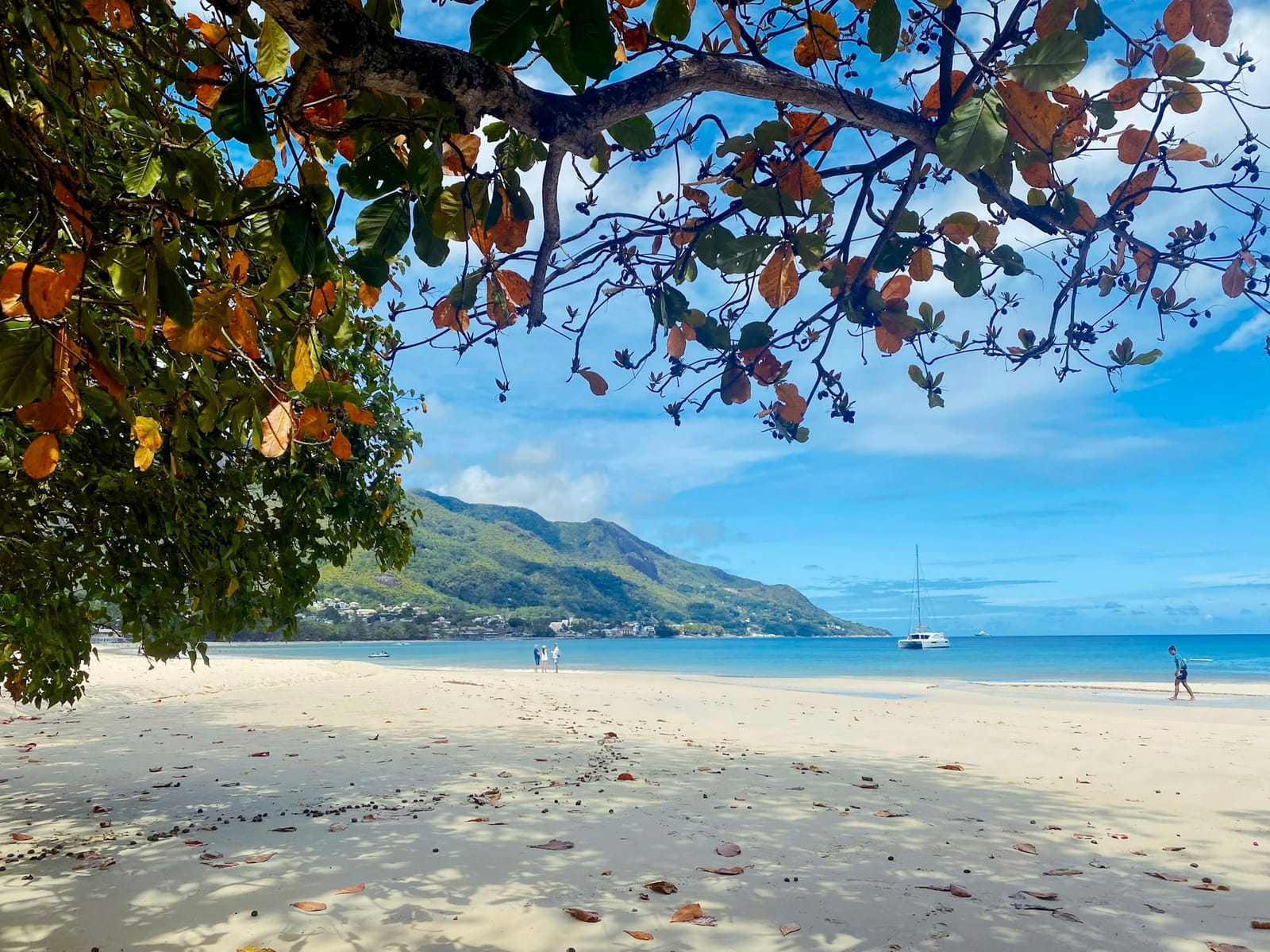 Calm water and a boat at Beau Vallon beach, Mahé